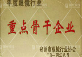 重點(diǎn)骨干企業(yè)